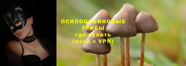 твердый Лихославль