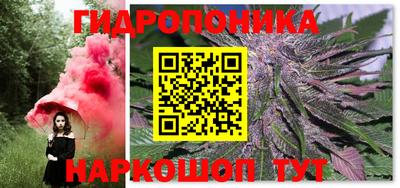 ешки Гатчина
