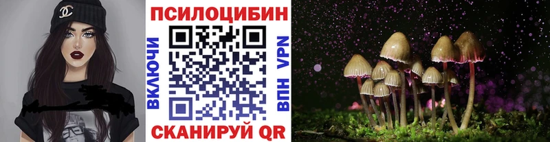 цена наркотик  Керчь  Галлюциногенные грибы GOLDEN TEACHER 
