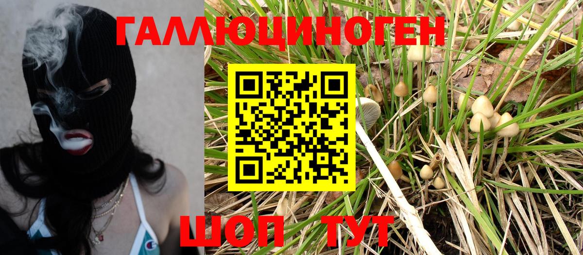 Псилоцибиновые грибы Magic Shrooms Керчь