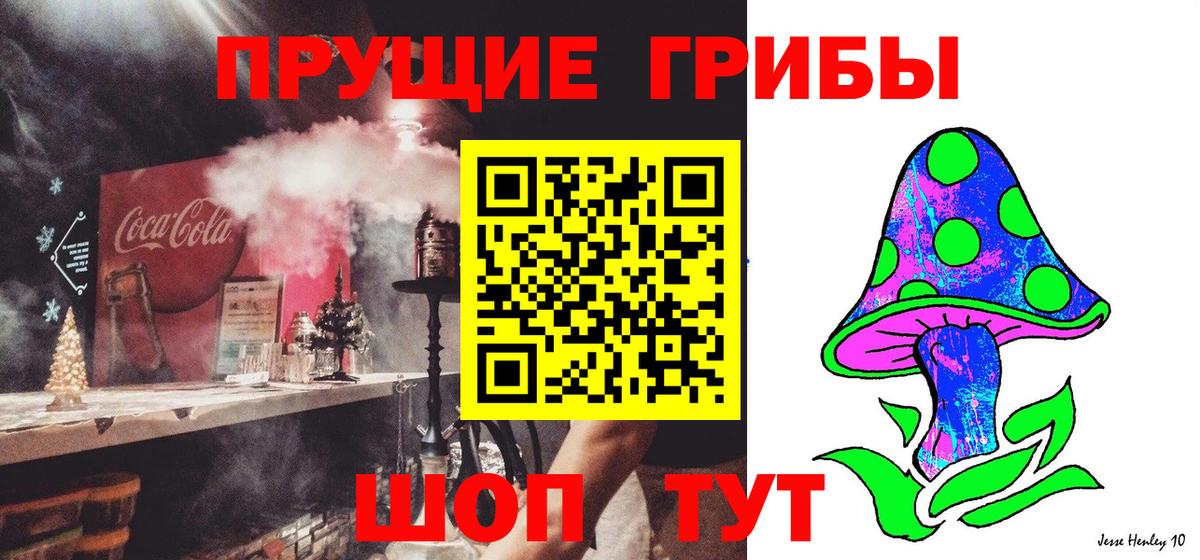 Галлюциногенные грибы мицелий  где купить   Псилоцибиновые грибы мухоморы  Керчь 