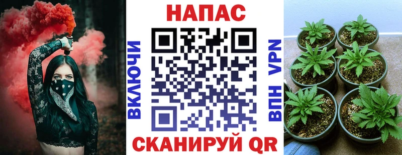 Марихуана OG Kush Керчь